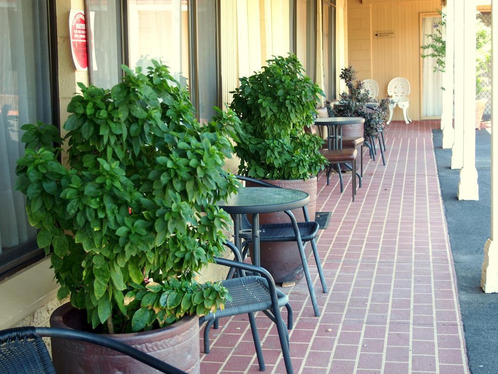 Murray River Motel Swan Hill Habitación foto